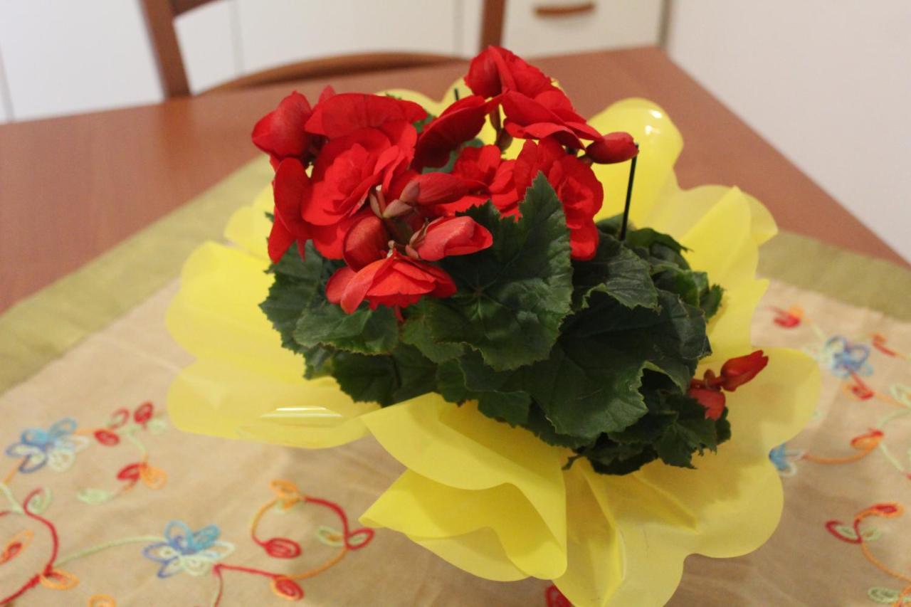 Hibiscus Διαμέρισμα Marausa Εξωτερικό φωτογραφία